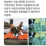[NCT즌] 진짜 이 <b>트윗</b> 멘트가 넘 감동적임