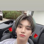 [이태용] 이태용 <b>본지</b> 얼마 안됐는데