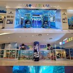 [NCT즌] 와 <b>코엑스</b>아쿠아리움에 태용이