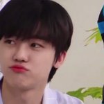 [NCT즌] 아니 정말로 초딩인데.....?