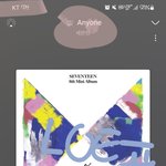 [세븐틴] 우리 둘다 사녹이야?