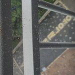 [꼭조언부탁] 공동주택에서 내집이니깐 내맘대로 하겠다는데 어째야하나요