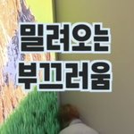 [NCT즌] 박지성 귀여워 <b>도라</b>버려