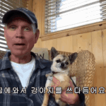 친구야~~ 거리는 거 나만 별로야?;;
