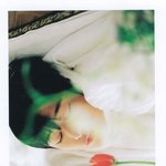 주연