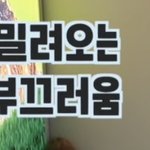 [NCT즌] 얘는 솔직히 <b>반칙</b> 아니냐