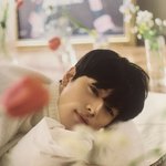 [더보이즈] 이거 어느 굿즈에 들어있는ㄴ거야?ㅠ