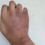 일방적인 폭행을 당했습니다