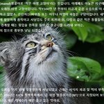 화난표정 기가 막히신 마<b>눌님</b>