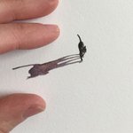 작을수록 더 <b>섬세</b>해지는 그림들