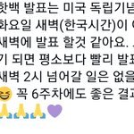 [방탄소년단] 담주 핟백발표는 하루 늦음❗