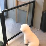 [ㅈㄱㄴ] 몇키로 같아<b>버임</b>? 사진있