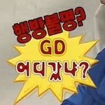 <b>지디</b> 왜