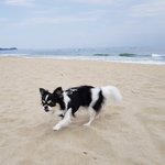 [스키즈] 또 귀여운 거 찾았다