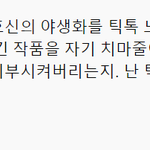 틱톡 빡치는건 알겠는데 이건 너무 과<b>몰입</b> 아님?