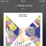 [세븐틴] 서로 썰고 써는 <b>난장판</b>이네