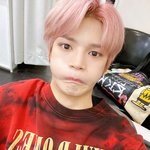 [이태용] 너무 충격먹은 툥블 사진