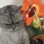 [NCT즌] 누가 이거 <b>론진</b>이랑 햇쨔니랰ㅋㅋㅋㅋㅋ