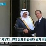 사우디 왕자들은 잘못한게 없다.jpg