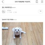 <b>소시</b> 에스파 추반 ㄱ