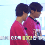 [방탄소년단] 애돌이 털다가 잘못 털었다