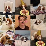 [스키즈] <b>베리</b> 짱 귀여워 그런데 이제