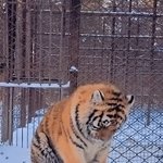 [이태용] 툥이 보고<b>시퍼</b>