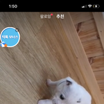 [NCT즌] 현생 살다가 애들 틱톡 보려고 들어갔는데