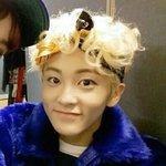 [NCT즌] 난 태용이가 마크한테 블루롤랜드<b>고릴라</b>?