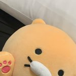 개귀여운년