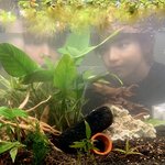 [NCT즌] <b>어항</b>에갇힌 테용쟌이