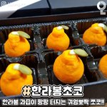 [드루와] 학교 체험<b>학습</b> 내거 친구랑 제주도 갈라는데