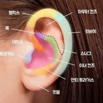[드루와] 너네 일어섰을때 허벅지 <b>안쪽</b> 닿음?