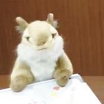 [펜타곤] 대롬<b>지아</b> 안녕 ㅠㅠㅠ