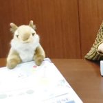 [펜타곤] 근데 이 지노 다<b>람지</b> 인형