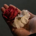 4년동안 사랑했던 그대에게 보내는 마지막 편지