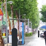 [이태용] <b>용이</b>도 이 많은것들 중 하나를 봤겠지