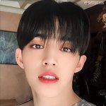 [세븐틴] +) 이거 <b>시세</b> 어느정도해..?