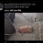 [TXT] 아 리발ㅋㅋㅋㅋ 오디캔<b>플립</b>