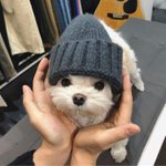 [댓글부탁해] <b>레즈</b> 어떻게생각험