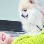<b>강쥐</b>와 박지민짤인데ㅋㅋㅋ