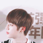 데뷔초김석진 개 귀<b>여미</b>