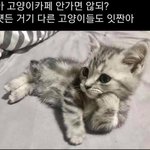 [드루와] ㅈ됐다 오늘 <b>기말</b>인데