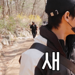 <b>허언</b>이 일상이고 드립이 생활인 아이돌