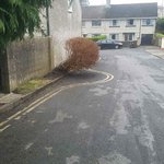 <b>뒷일</b>은 전혀 신경 쓰지 않는 사람들