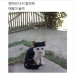 인스타 아이다 좀 지어줘 ㅠㅠ