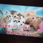 [뷰티] 중딩 <b>코노</b> 갈때특징.jpg