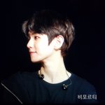 측면은 엄청 <b>뾰족</b>한데 정면은 동글인 특징은 뭘까