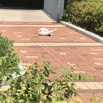 우리동네 완전 <b>나른</b>함