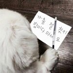 [드루와] 얘들아 택배 보낼때 내 <b>주소</b>랑 이름